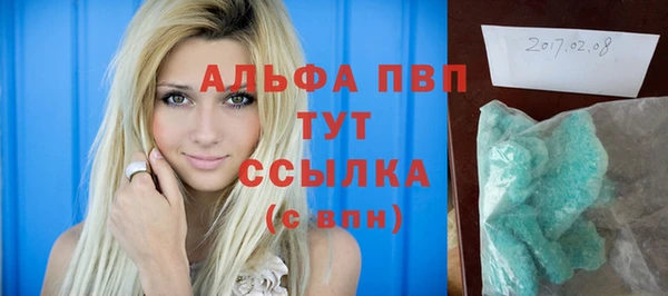 гидра Алексин